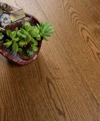 AG-E.OAK-061 - Image 2